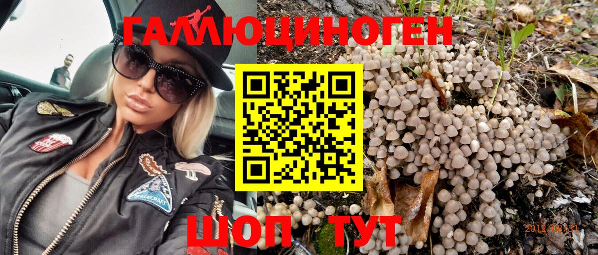Псилоцибиновые грибы Psilocybine cubensis  Вход с VPN  Псилоцибиновые грибы GOLDEN TEACHER  Вязники 