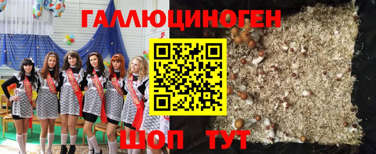 Псилоцибиновые грибы мухоморы Вязники